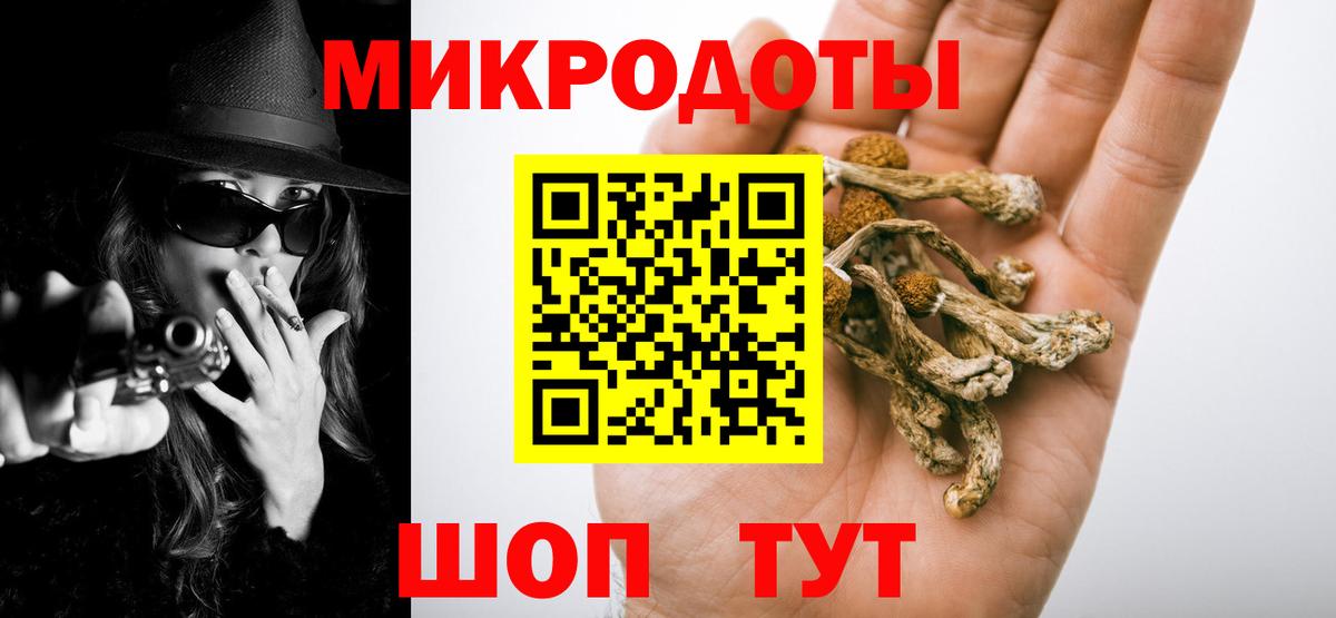 Псилоцибиновые грибы Psilocybine cubensis Видное